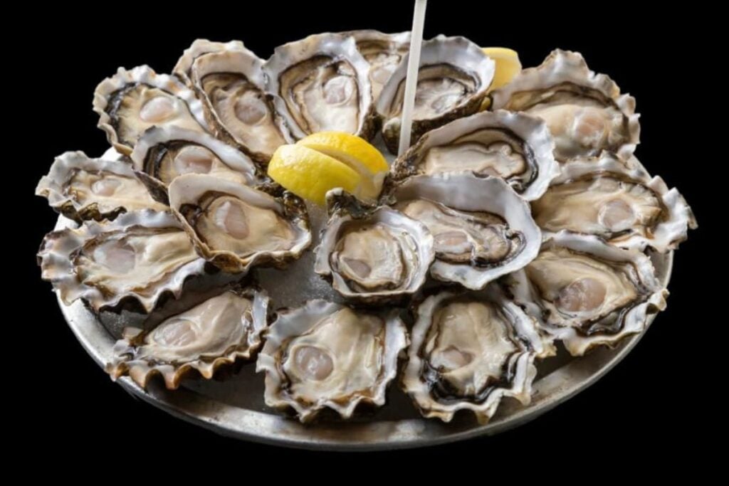 The best oyster bars & deals in Hong Kong 5 best oyster bars in Hong Kong Oyster Cove