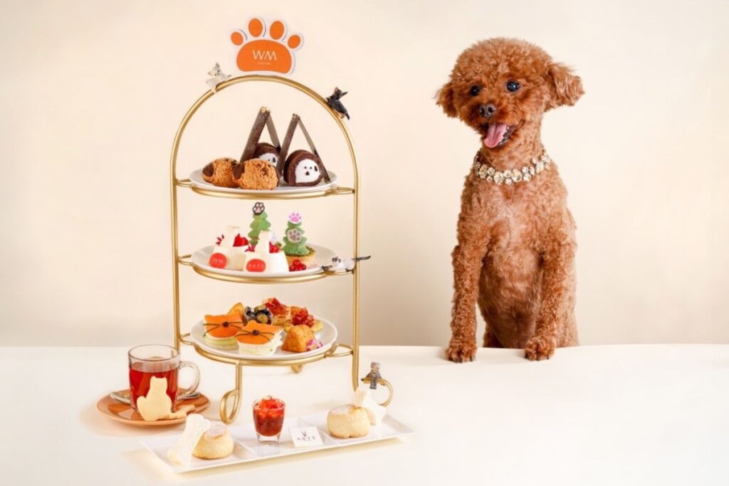 The best spots for afternoon tea in Hong Kong in 2025, from beauty & fashion collabs to holiday-themed sets 28 WM Hotel The best spots for afternoon tea in Hong Kong in 2025
